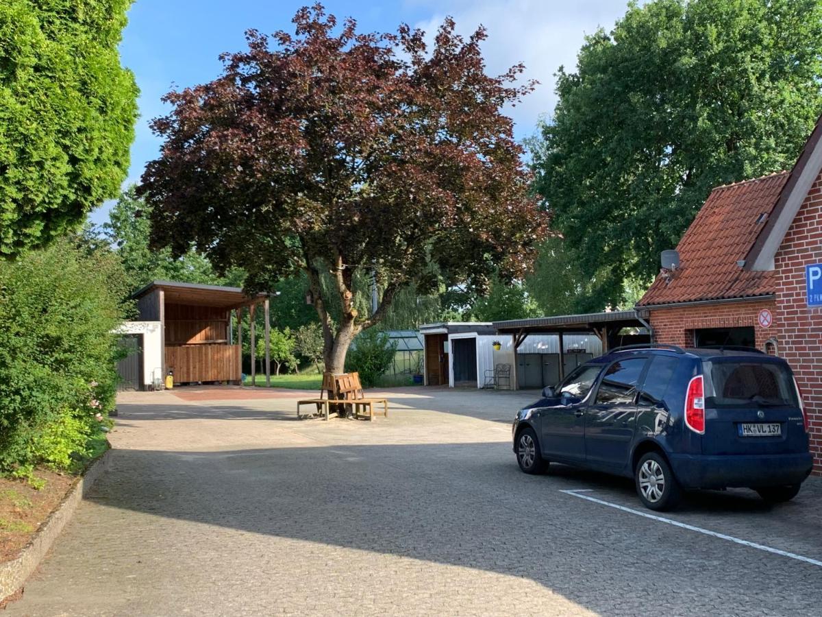 Holiday In Der Lueneburger Heide Bispingen Dış mekan fotoğraf